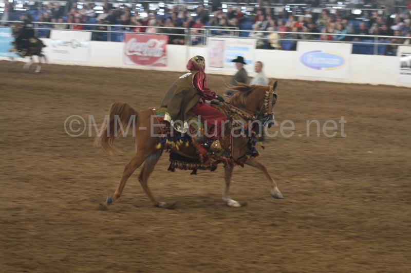 1102SAS_0568