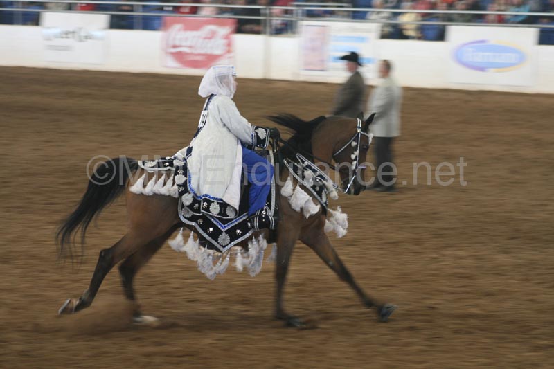 1102SAS_0569