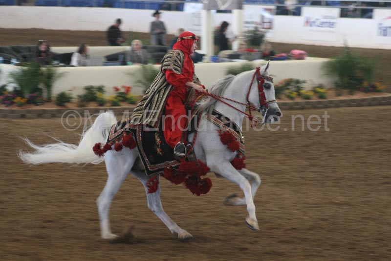 1102SAS_0571