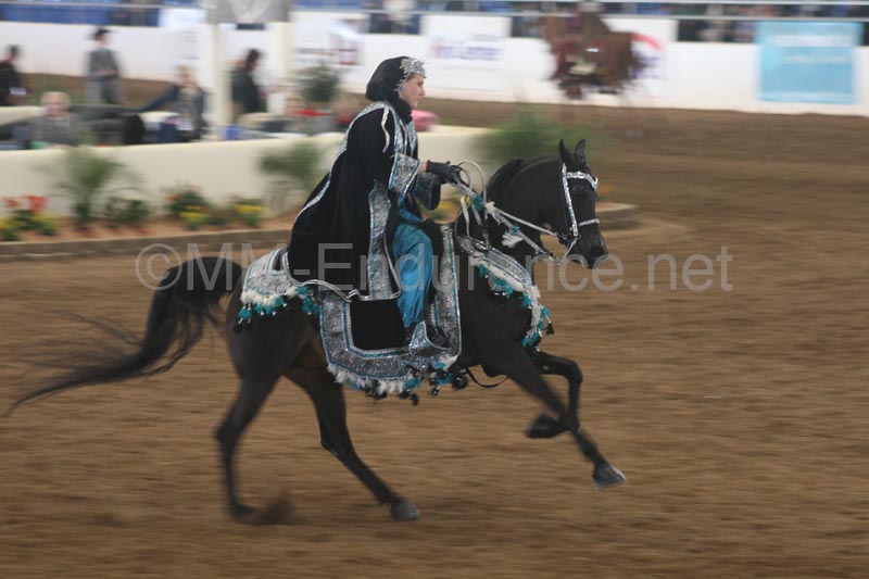 1102SAS_0572