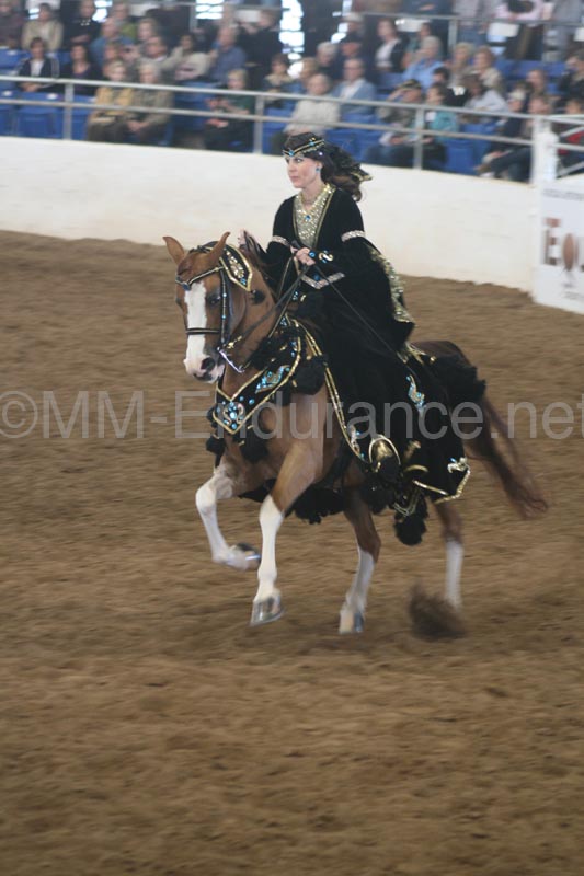 1102SAS_0578