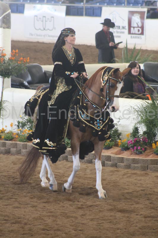 1102SAS_0584