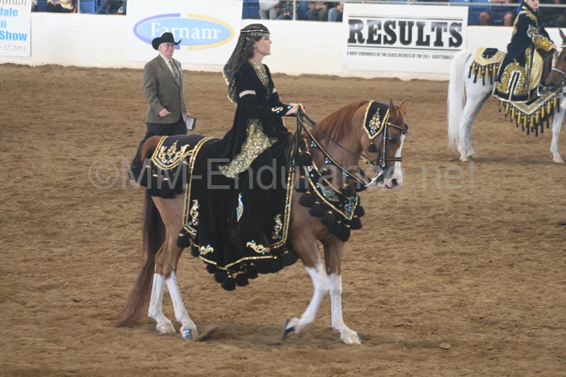 1102SAS_0586
