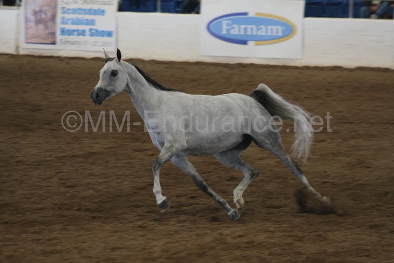 1102SAS_0595