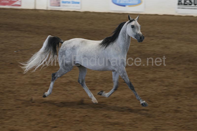 1102SAS_0596