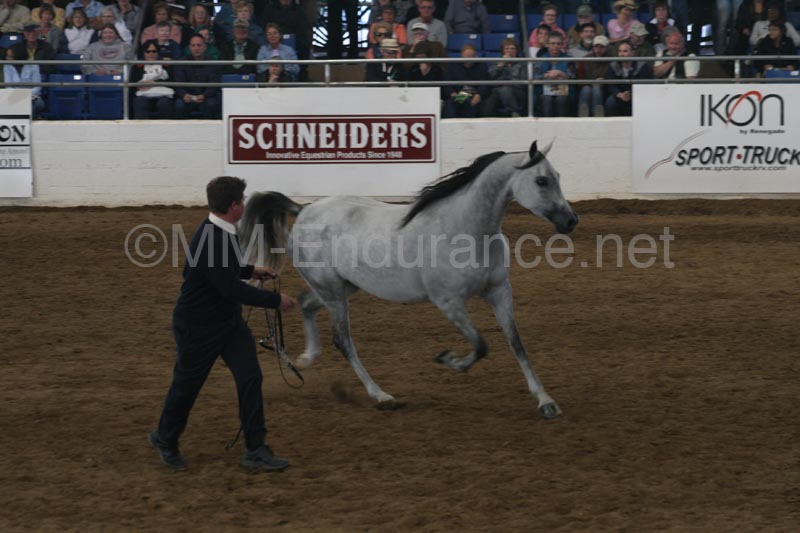 1102SAS_0597