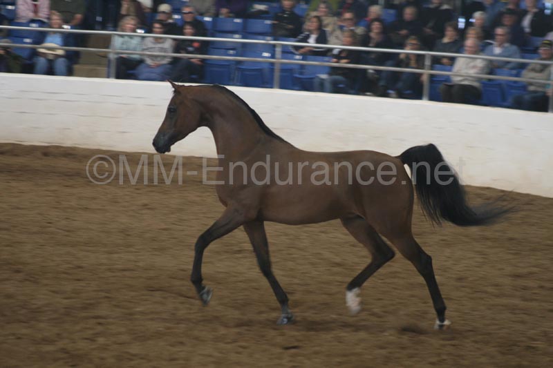 1102SAS_0602
