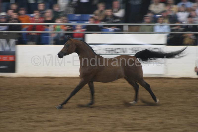 1102SAS_0604
