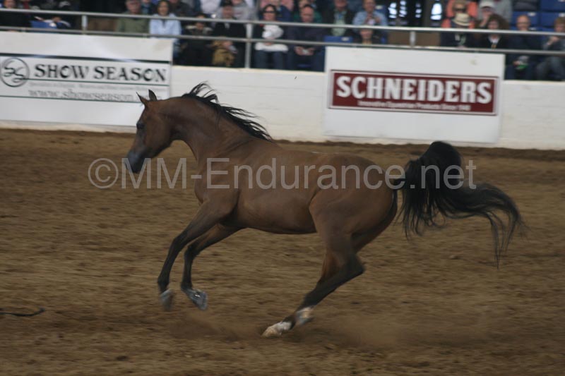 1102SAS_0605