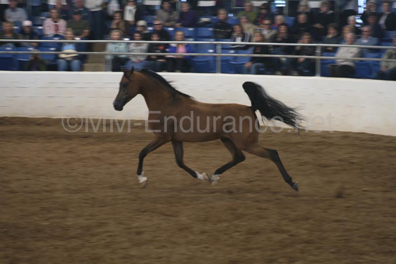 1102SAS_0612