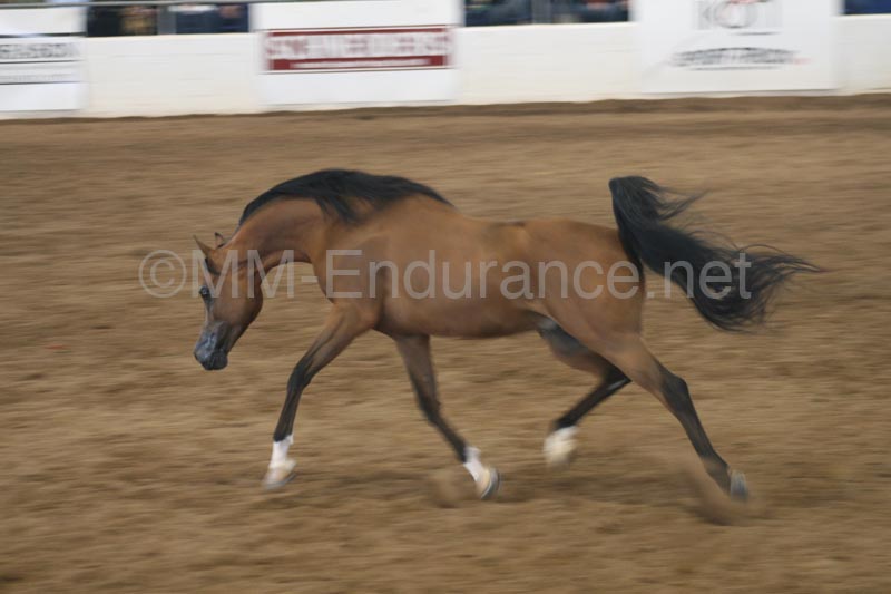 1102SAS_0613