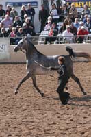 1102SAS_0499
