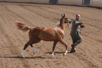 1102SAS_0504