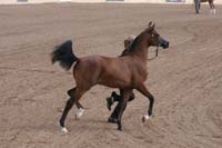 1102SAS_0506
