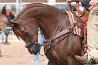 1102SAS_0511