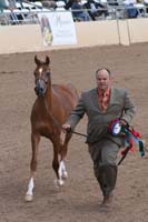1102SAS_0512