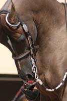 1102SAS_0527