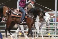 1102SAS_0528