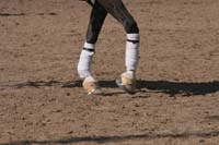 1102SAS_0535