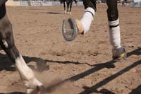 1102SAS_0535A