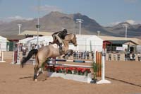 1102SAS_0537A