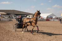 1102SAS_0537C