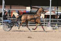 1102SAS_0538