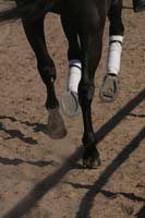 1102SAS_0541