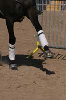 1102SAS_0542