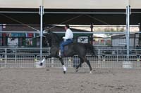 1102SAS_0544