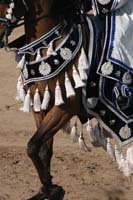 1102SAS_0551