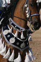 1102SAS_0553