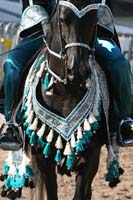 1102SAS_0557