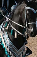 1102SAS_0558