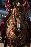 1102SAS_0560