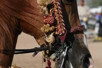 1102SAS_0561