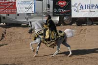 1102SAS_0565