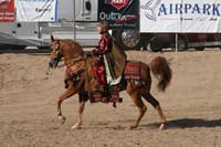 1102SAS_0567