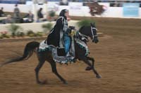 1102SAS_0572