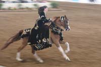 1102SAS_0574
