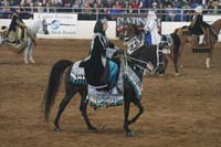 1102SAS_0585