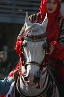 1102SAS_0587