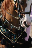1102SAS_0588