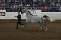 1102SAS_0592