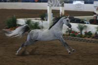 1102SAS_0594