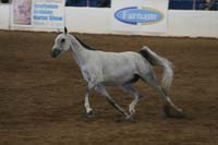 1102SAS_0595