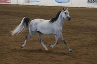 1102SAS_0596