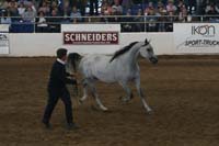 1102SAS_0597