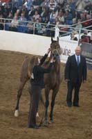 1102SAS_0599
