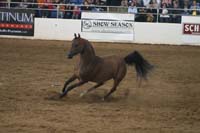 1102SAS_0601